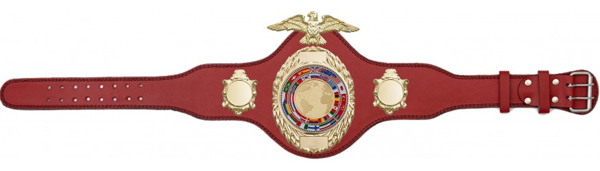 CHAMPIONSHIP BELT - PLT288/G/FLAGG - AVAILABLE IN 4 COLOURS